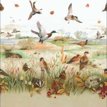 Faisan beige
